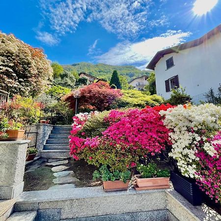 Eden Sul Lago Di Como 네소 외부 사진