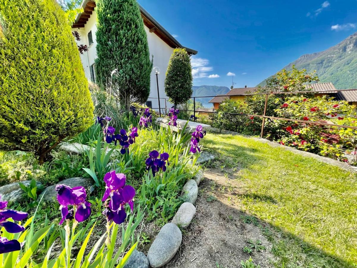 Eden Sul Lago Di Como 네소 외부 사진