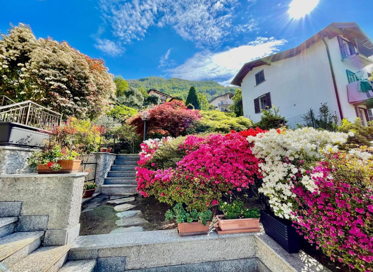 Eden Sul Lago Di Como 네소 외부 사진