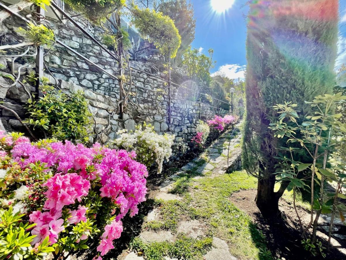 Eden Sul Lago Di Como 네소 외부 사진