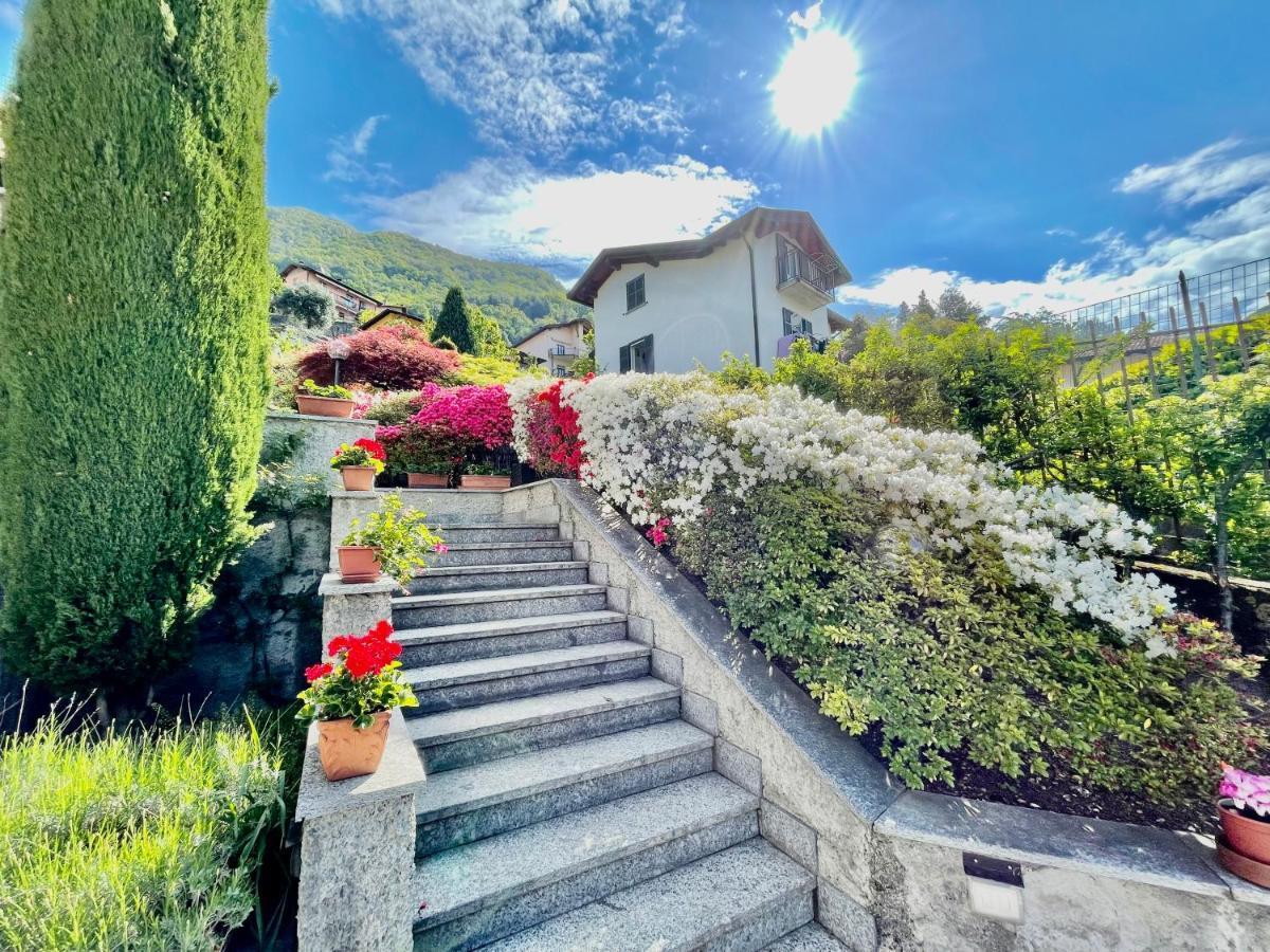 Eden Sul Lago Di Como 네소 외부 사진