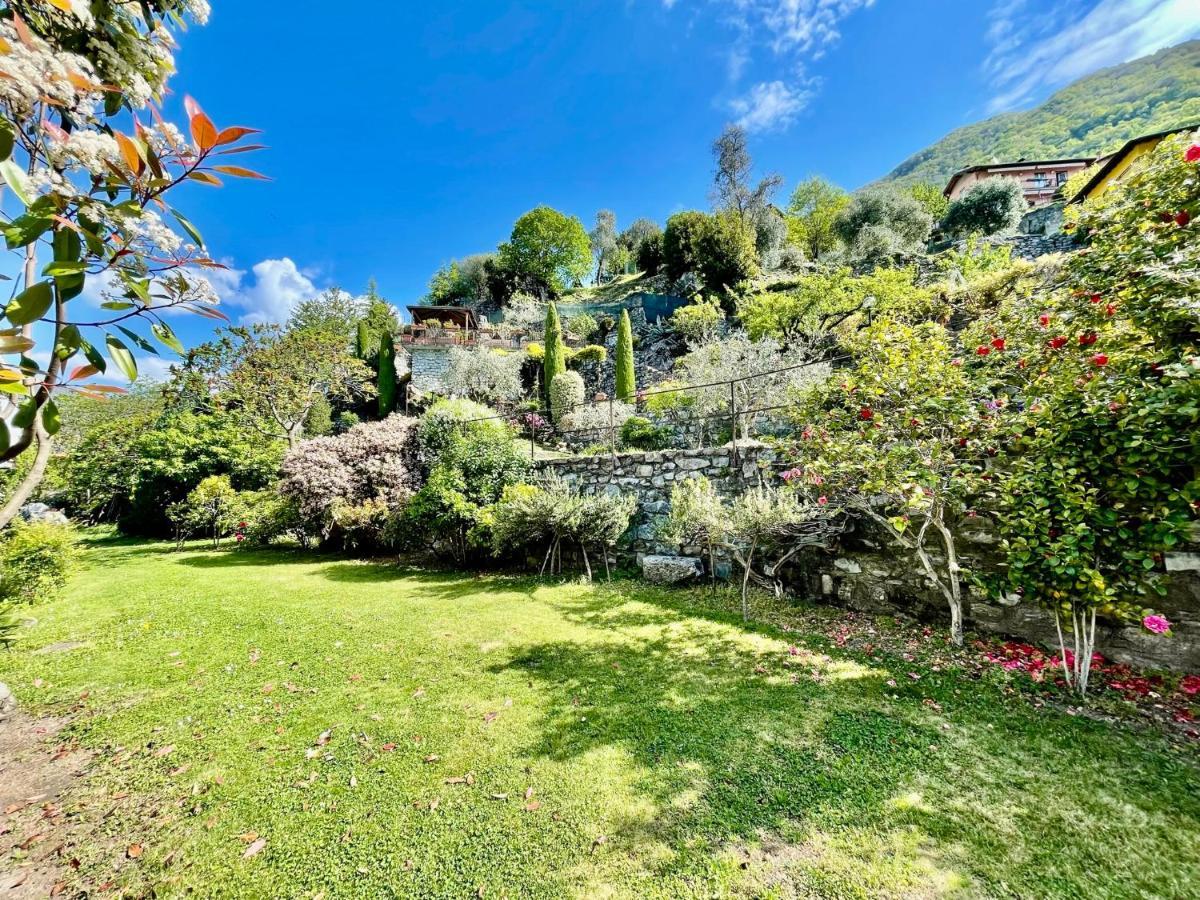 Eden Sul Lago Di Como 네소 외부 사진
